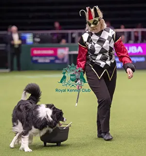 Crufts 2019 - Day One, NEC, UK - 7 Mar 2019