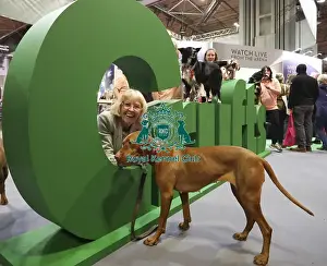 Hungarian Vizsla Prints: Crufts 2019 - Day One, NEC, UK - 7 Mar 2019