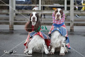 Crufts 2019 - Day One, NEC, UK - 7 Mar 2019