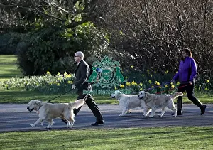 Arrival Prints: Crufts 2019 - Day One, NEC, UK - 7 Mar 2019