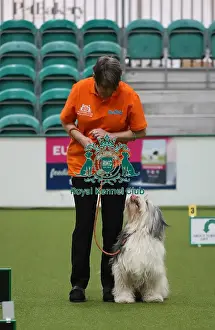 Bearded Collie Prints: Crufts 2019 - Day One, NEC, UK - 7 Mar 2019