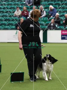 Crufts 2019 - Day One, NEC, UK - 7 Mar 2019