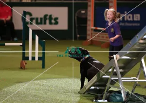 Crufts 2019 - Day One, NEC, UK - 7 Mar 2019
