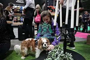 Billy Margot Prints: Crufts 2019 - Day One, NEC, UK - 7 Mar 2019