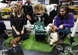 Crufts 2019 - Day One, NEC, UK - 7 Mar 2019