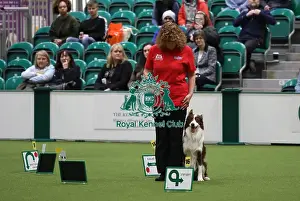 Obedience Ring Prints: Crufts 2019 - Day One, NEC, UK - 7 Mar 2019