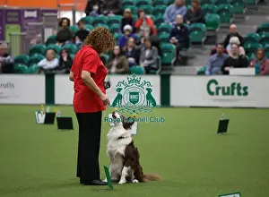 Obedience Ring Prints: Crufts 2019 - Day One, NEC, UK - 7 Mar 2019