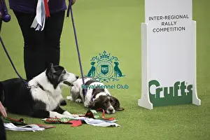 Inter Regional Rally Competition Prints: Crufts 2019 - Day One, NEC, UK - 7 Mar 2019