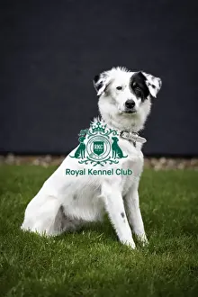 Fleur Prints: Crufts 2019 - Day One, NEC, UK - 7 Mar 2019