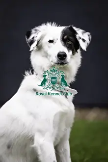Fleur Prints: Crufts 2019 - Day One, NEC, UK - 7 Mar 2019