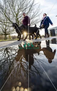 Crufts 2019 - Day One, NEC, UK - 7 Mar 2019