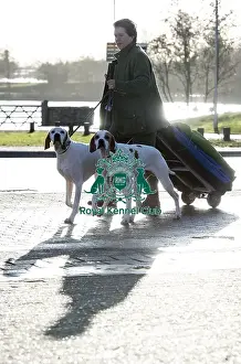Pointer Prints: Crufts 2019 - Day One, NEC, UK - 7 Mar 2019