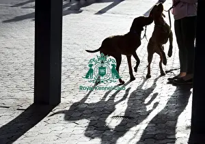 Arrival Prints: Crufts 2019 - Day One, NEC, UK - 7 Mar 2019