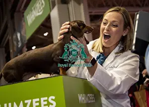 Whimzees Prints: Crufts 2019 - Day One, NEC, UK - 7 Mar 2019