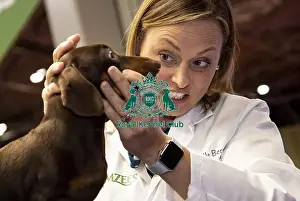 Whimzees Prints: Crufts 2019 - Day One, NEC, UK - 7 Mar 2019
