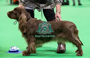 Crufts 2019 - Day One, NEC, UK - 7 Mar 2019