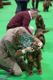 Crufts 2019 - Day One, NEC, UK - 7 Mar 2019