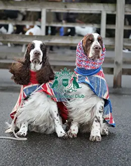 Arrival Prints: Crufts 2019 - Day One, NEC, UK - 7 Mar 2019