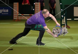 Crufts 2019 - Day One, NEC, UK - 7 Mar 2019