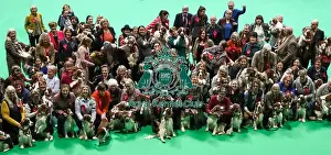 Crufts 2019 - Day One, NEC, UK - 7 Mar 2019