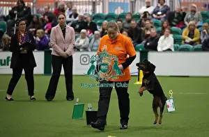 Obedience Ring Prints: Crufts 2019 - Day One, NEC, UK - 7 Mar 2019