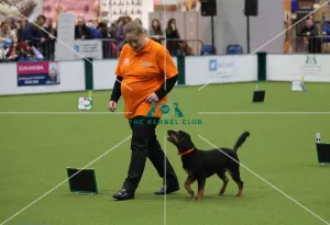Obedience