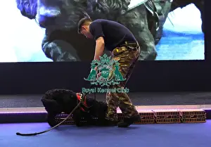Eukanuba Prints: Crufts 2019 - Day One, NEC, UK - 7 Mar 2019