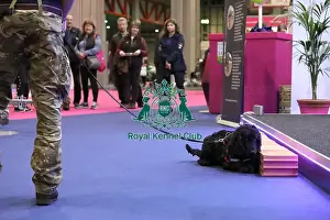 Eukanuba Prints: Crufts 2019 - Day One, NEC, UK - 7 Mar 2019