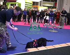 20190307 Prints: Crufts 2019 - Day One, NEC, UK - 7 Mar 2019