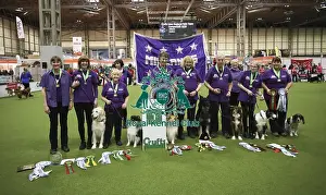Crufts 2019 - Day One, NEC, UK - 7 Mar 2019