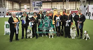 Obedience Ring Prints: Crufts 2019 - Day One, NEC, UK - 7 Mar 2019