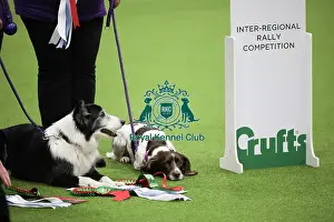 Inter Regional Rally Competition Prints: Crufts 2019 - Day One, NEC, UK - 7 Mar 2019