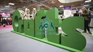Beagle Prints: Crufts 2019 - Day One, NEC, UK - 7 Mar 2019