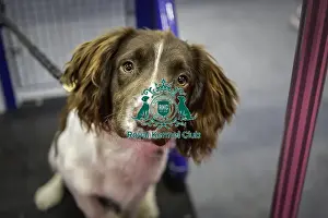 West Midlands Police Prints: Crufts 2019 - Day One, NEC, UK - 7 Mar 2019