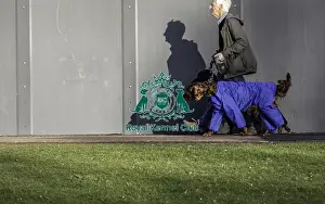 Irish Setter Prints: Crufts 2019 - Day One, NEC, UK - 7 Mar 2019