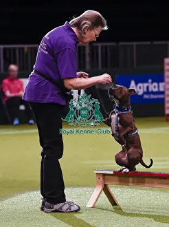 20190307 Prints: Crufts 2019 - Day One, NEC, UK - 7 Mar 2019