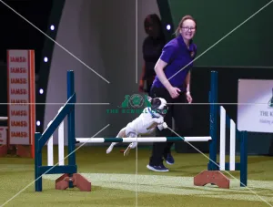 Crufts 2019 - Day One, NEC, UK - 7 Mar 2019