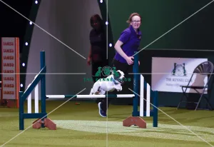 Crufts 2019 - Day One, NEC, UK - 7 Mar 2019