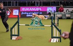 20190307 Prints: Crufts 2019 - Day One, NEC, UK - 7 Mar 2019