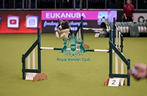 20190307 Prints: Crufts 2019 - Day One, NEC, UK - 7 Mar 2019