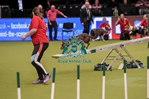 20190307 Prints: Crufts 2019 - Day One, NEC, UK - 7 Mar 2019