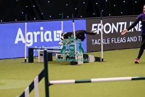 20190307 Prints: Crufts 2019 - Day One, NEC, UK - 7 Mar 2019