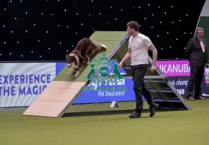 20190307 Prints: Crufts 2019 - Day One, NEC, UK - 7 Mar 2019