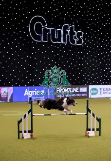 20190307 Prints: Crufts 2019 - Day One, NEC, UK - 7 Mar 2019