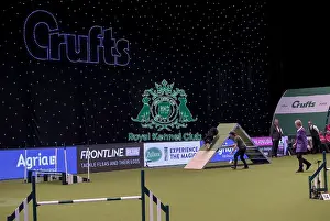 20190307 Prints: Crufts 2019 - Day One, NEC, UK - 7 Mar 2019