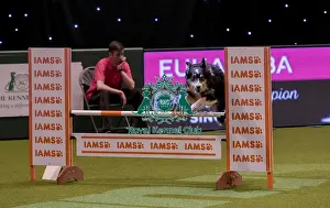 20190307 Prints: Crufts 2019 - Day One, NEC, UK - 7 Mar 2019
