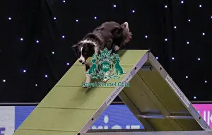 20190307 Prints: Crufts 2019 - Day One, NEC, UK - 7 Mar 2019