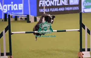 20190307 Prints: Crufts 2019 - Day One, NEC, UK - 7 Mar 2019