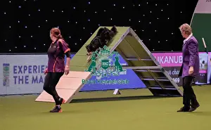 20190307 Prints: Crufts 2019 - Day One, NEC, UK - 7 Mar 2019