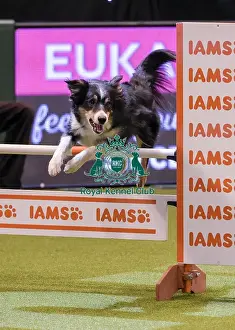 20190307 Prints: Crufts 2019 - Day One, NEC, UK - 7 Mar 2019